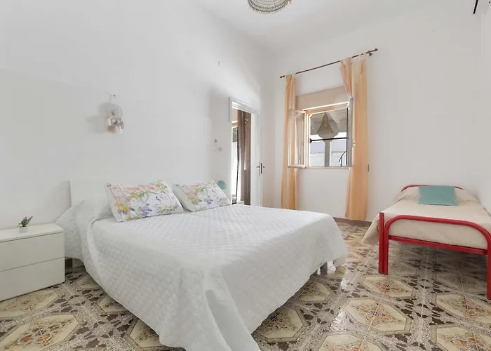 Pace By Barbarhouse *