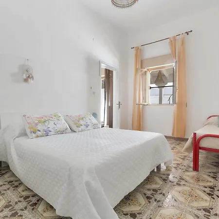 Pace By Barbarhouse *